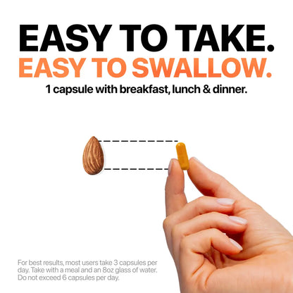 [ONE-TIME OFFER] Buy One, Get THREE FREE